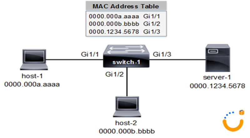 معرفی انواع و کاربرد های سوئیچ شبکه